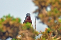 01 06 14_5280_edited-2